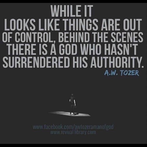 💞Meet your Posher, Celeste Ann💞 - Picture 3 of 12